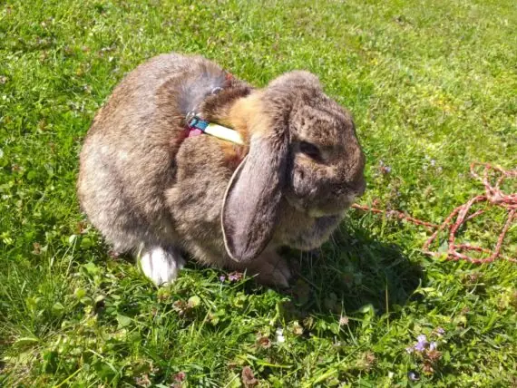 cdfe76d3-24a1-4a58-8faa-a58818aee22e