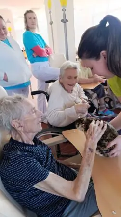 d82d2441-4fd7-4a4e-83bc-c4ce1d2f1adf