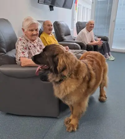 dabce850-b685-483d-9a56-30332581f376