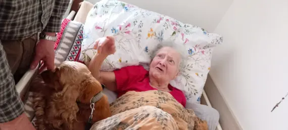 ddb63f8a-c5c2-4bd0-915c-f07f5fb155d5