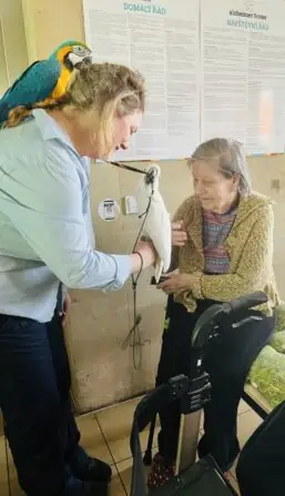 e6b34473-0df5-47df-9a38-38a88d983d9e