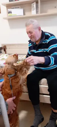 f7019e9b-18a4-4f17-bc13-39e55477ad09