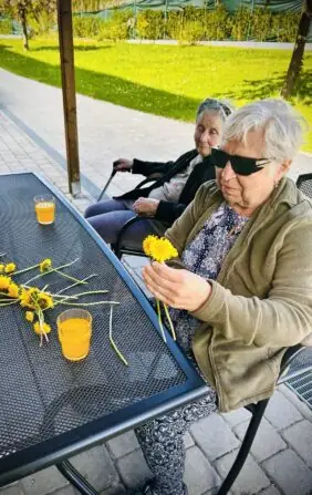 ff690d54-d5cc-47ef-b103-9b3e6c59c340