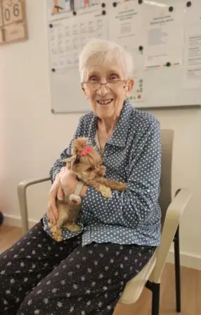 07896109-51ce-4fa9-88cf-bf59892ce559