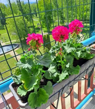 2ae226c8-84b1-4741-b899-08f97fee64fb