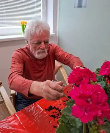 3a312057-f913-49c0-aa1f-727842bb6e24