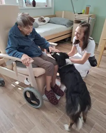 3e9c4640-ad3f-441b-859b-7cd334f19233