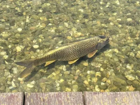 494359296_1310794417290320_6320022198237073223_n