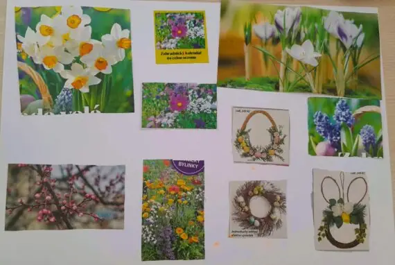 495044257_632733479768362_6580078205016524758_n