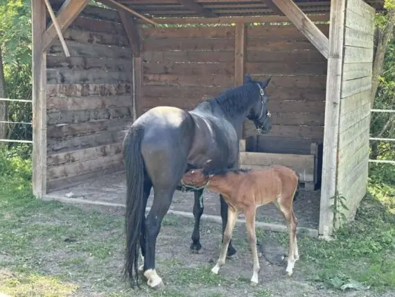 496509743_1206238217322382_165069154036081443_n