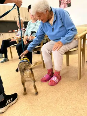 499612925_642153132159730_1781927404349866376_n