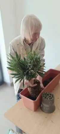 Obrázek WhatsApp, 2025-04-08 v 14.23.00_b3983c17