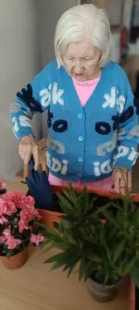 Obrázek WhatsApp, 2025-04-08 v 14.23.01_a9f2cbf6