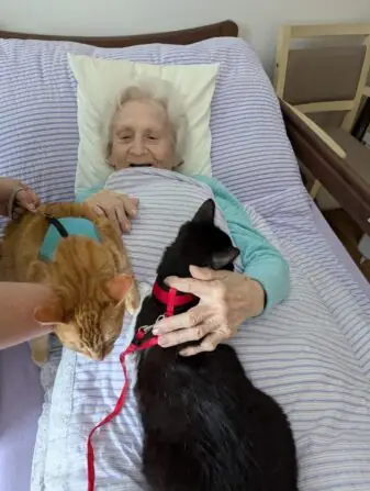 PXL_20250505_120036307