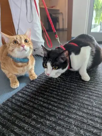 PXL_20250505_123402542