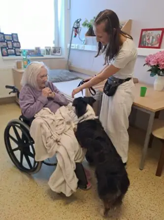 e09ebcc4-57d8-4e8e-876d-f38f01597929