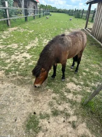 thumbnail_image0 (2)