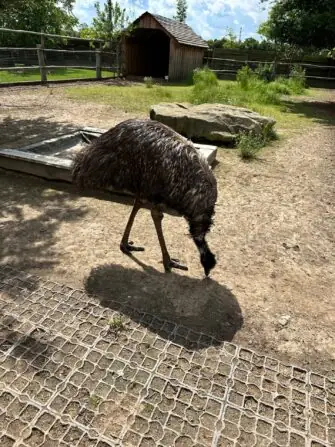 thumbnail_image3 (1)