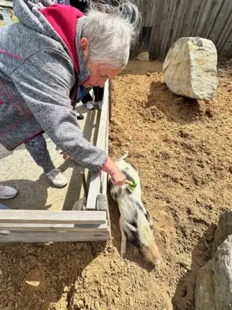 thumbnail_image3 (2)