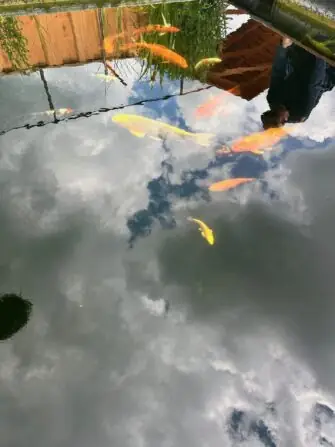 thumbnail_image5 (2)