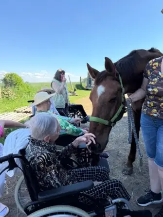 výlet ke koním (1)