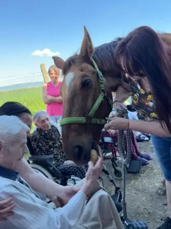 výlet ke koním (5)