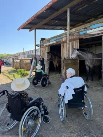 výlet ke koním (7)