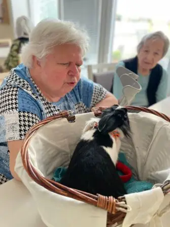 028ed5d5-523f-49cd-9fc8-2a6e47ba36f3