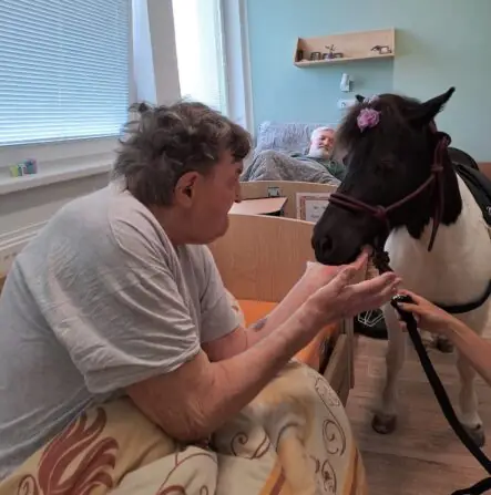 1026bb8a-d456-4a58-9b6d-16e84de23583