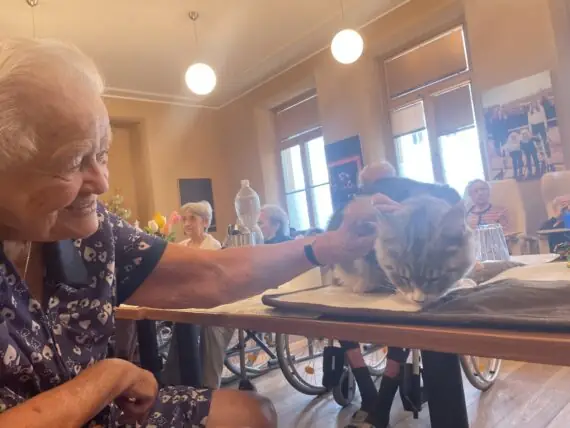 214b1188-e62a-4566-a5ac-d49b88f349b4