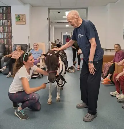 2bb24dcd-c502-4510-828e-ed6ce94caf7e