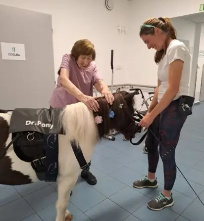 42a787db-529a-4cd8-9f07-afe52d7eb193