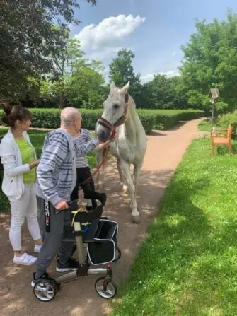 494823543_695077983491213_5660278315515516371_n