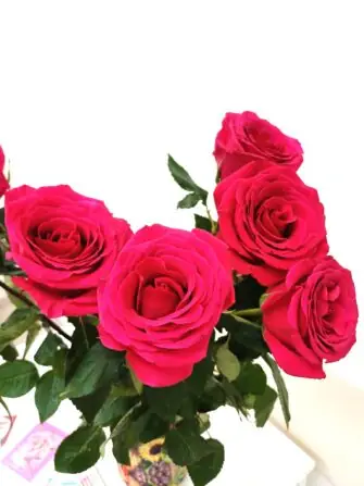 502522844_1131844428982590_1722595298330783947_n