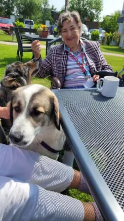 505063347_696311196445205_3116859435048923919_n