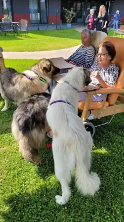 505105561_696313133111678_6639070050158010381_n