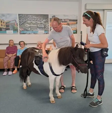 559acda3-9f44-44bb-8ecc-a148f42a99b6