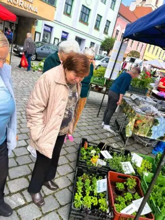 6fc19ece-19e9-47ea-90cd-0f11abed51a5