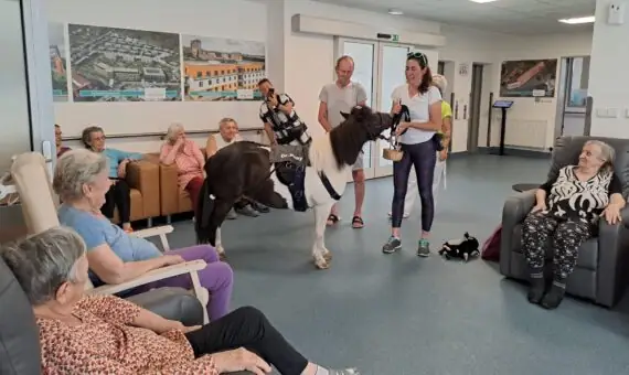 9bc5e89d-5e4c-47c2-b9f8-468197ab4e6b