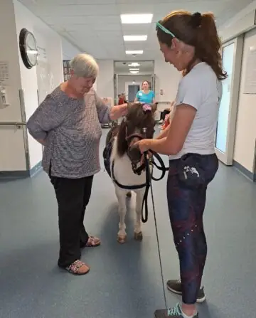 9f6483b9-9461-489f-ba7d-18f6d9fb4ff9