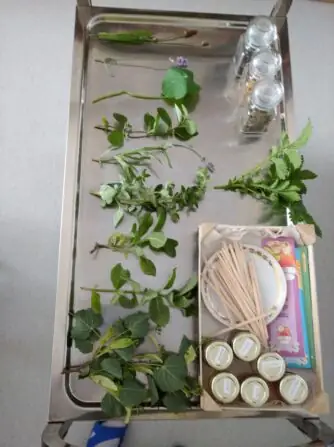 IMG_20250610_091307_1