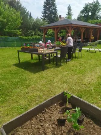 Obrázek WhatsApp, 2025-06-05 v 15.15.01_01cc0963