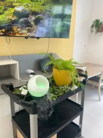 ac1df796-d9ea-4487-9421-9d3f053217cc