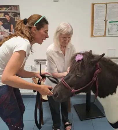 d24eca21-70b8-45c6-ad40-ebf2cb85c18a