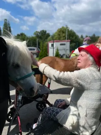 d44686af-af59-4f6d-b548-72e89c229432