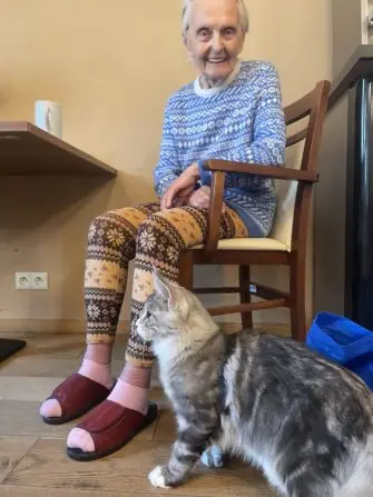 d5c85010-124f-4058-81b8-32533280a313