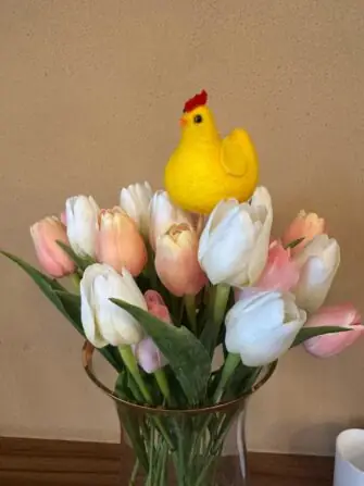 f8cd1d84-7a6a-4fec-b259-55ba8446c264