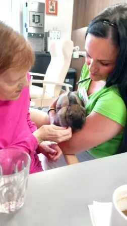 0e2ed496-b74f-428d-92ff-f9f41dbf20e2