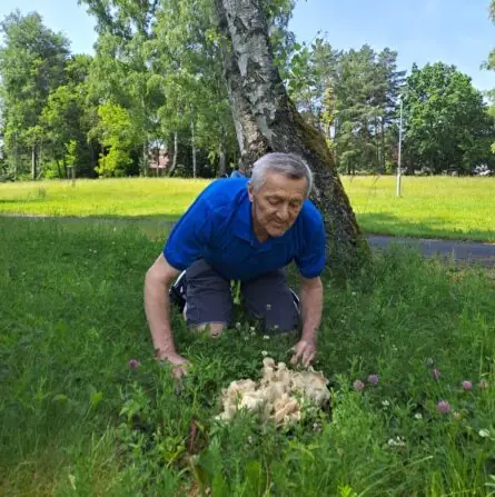 1afdff12-78ef-4fa8-bd7d-af4d7b00b392