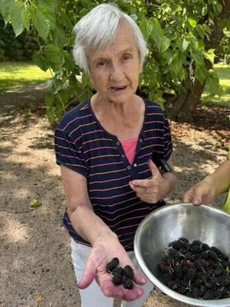 511557487_629635896807694_6279740720776807103_n